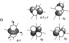 D orbitals