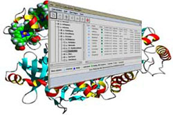 Screen shot of Organizer over a molecule